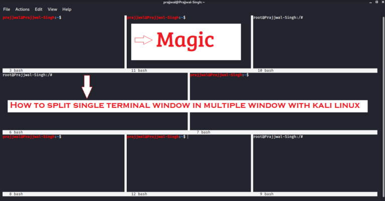 Read more about the article How to Split single Kali Linux terminal into multiple